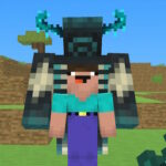 BlockCraft insieme